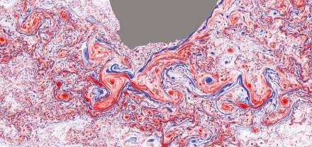 Surface vorticity in the Agulhas region from a 1/48-degree Oceananigans simulation